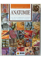 Anatomie 